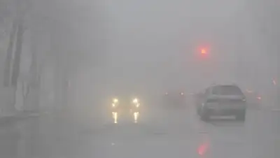 Hayinfo, фото - Новости Zakon.kz от 24.02.2020 06:09