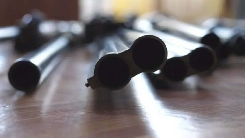 В Алматинской области мужчина выстрелил из ружья в супружескую пару