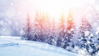 grouple.co, фото - Новости Zakon.kz от 25.12.2019 09:05