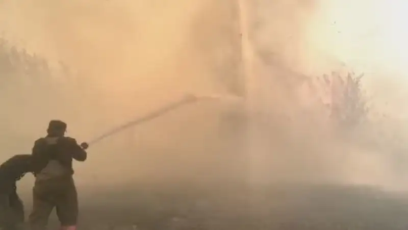 Как тушат третий пожар на востоке Казахстана