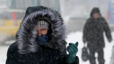 Zakon.kz, фото - Новости Zakon.kz от 03.01.2017 23:52