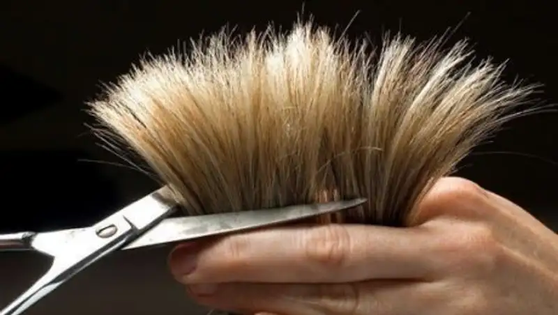 В Усть-Каменогорске виновник ДТП обрезал свои волосы чтобы не лишиться прав