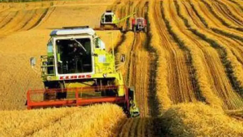 Международный опыт государственной поддержки сельского хозяйства