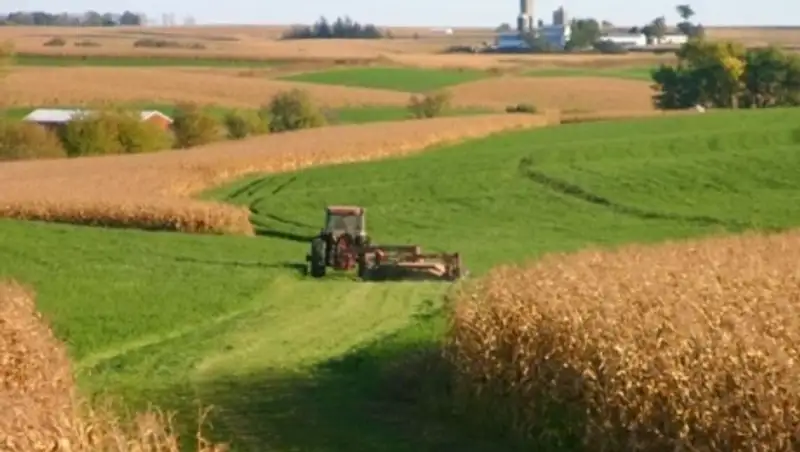 В Кызылординской области более 200 тыс га сельхозугодий возвращены в госсобственность