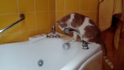 smolgazeta.ru, фото - Новости Zakon.kz от 10.05.2019 16:08