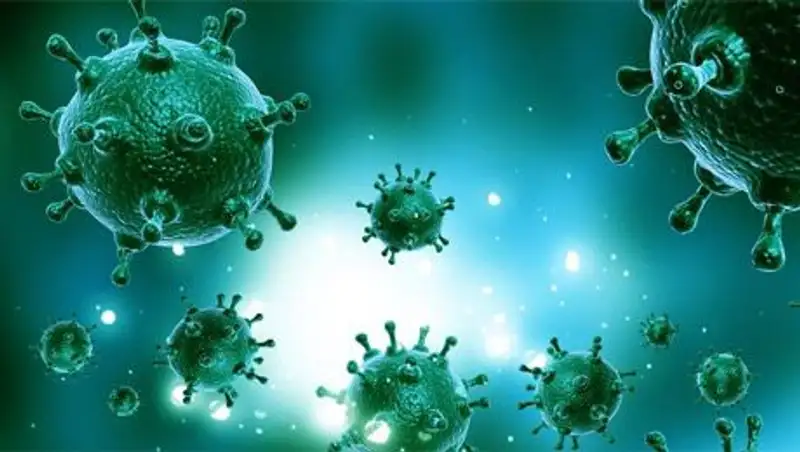 Вирус Эбола: мир лихорадит