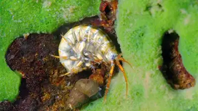 Zakon.kz, фото - Новости Zakon.kz от 14.02.2017 17:18