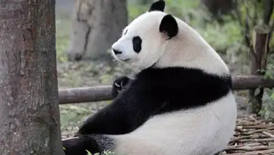 Zakon.kz, фото - Новости Zakon.kz от 30.12.2016 13:54