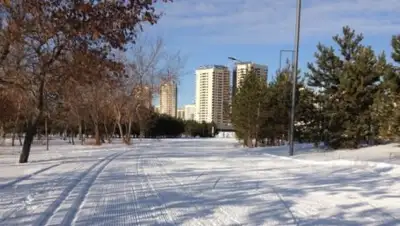 Zakon.kz, фото - Новости Zakon.kz от 13.12.2016 01:45