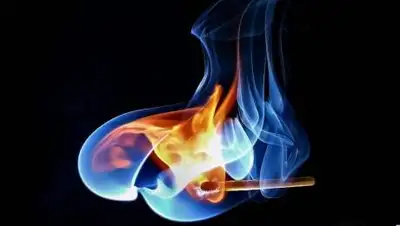 FlowVella, фото - Новости Zakon.kz от 06.11.2020 00:48