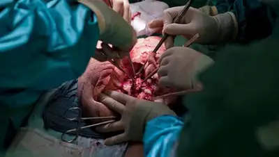 Zakon.kz, фото - Новости Zakon.kz от 08.09.2017 15:00