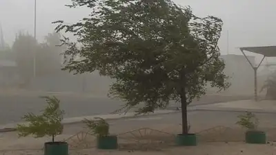 avopix.com, фото - Новости Zakon.kz от 19.08.2020 16:37