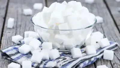 Единственная, фото - Новости Zakon.kz от 20.02.2019 15:11