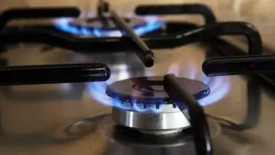 inform.kz, фото - Новости Zakon.kz от 19.06.2018 17:00