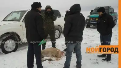 mgorod.kz, фото - Новости Zakon.kz от 27.03.2018 15:59