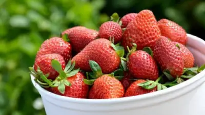 Zakon.kz, фото - Новости Zakon.kz от 25.06.2015 18:06