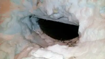 vzsar.ru, фото - Новости Zakon.kz от 26.11.2018 13:56