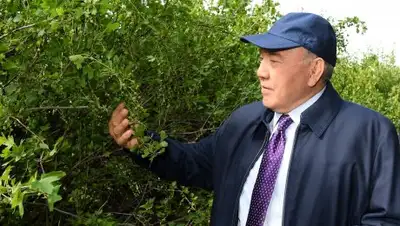 пресс-служба Акорды, фото - Новости Zakon.kz от 29.06.2018 21:32