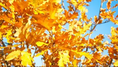 Zakon.kz, фото - Новости Zakon.kz от 03.09.2017 06:00