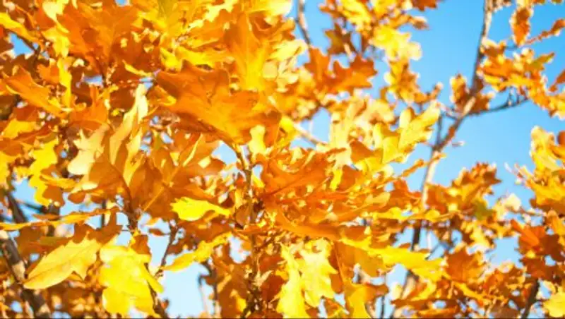 Погоду без осадков обещают казахстанские синоптики в воскресенье