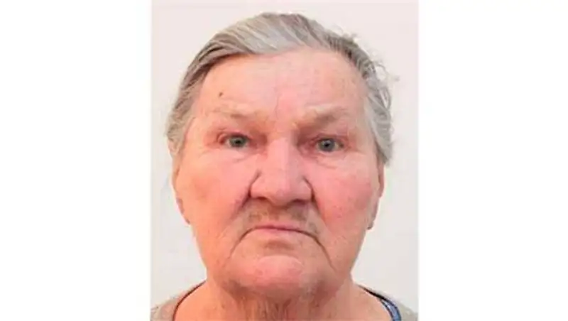 78-летняя грибница, пропавшая в лесу несколько дней назад, нашлась живой