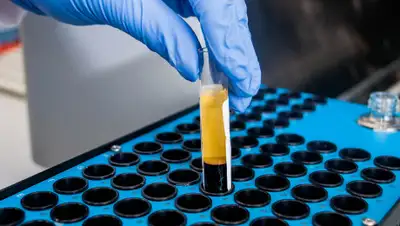 stc01, фото - Новости Zakon.kz от 17.01.2020 10:54