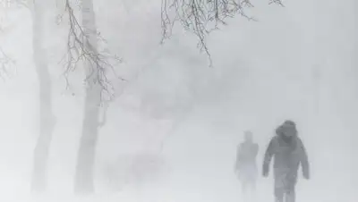 stolicaonego.ru, фото - Новости Zakon.kz от 24.01.2020 06:49