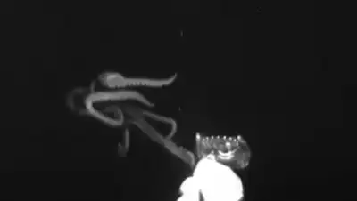 YouTube, фото - Новости Zakon.kz от 24.06.2019 01:59