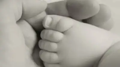 piqsels.com, фото - Новости Zakon.kz от 20.09.2021 16:39