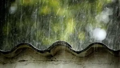 31tv.ru, фото - Новости Zakon.kz от 08.06.2018 09:29