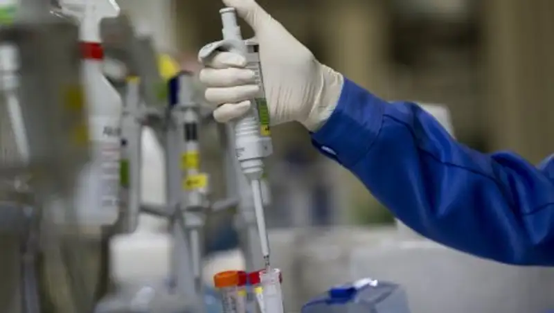 СМИ: родители смогут выбирать внешность будущих детей