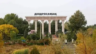 shymkent13.ru, фото - Новости Zakon.kz от 16.09.2020 17:56