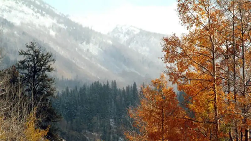 Потепление до + 8 -15 градусов прогнозируют синоптики на территории Казахстана