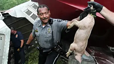 Zakon.kz, фото - Новости Zakon.kz от 09.06.2015 20:22