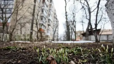 Zakon.kz, фото - Новости Zakon.kz от 01.04.2016 21:07