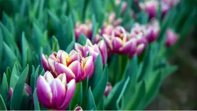 рк, неделя, март, погода, прогноз, казгидромет, фото - Новости Zakon.kz от 26.03.2022 15:09