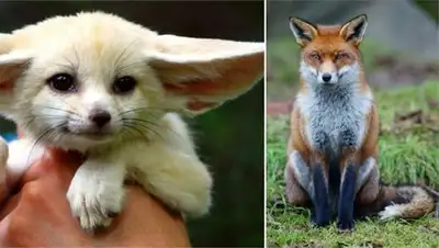 Zakon.kz, фото - Новости Zakon.kz от 25.09.2014 17:39