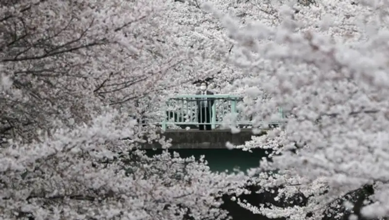 Лучшие фотографии этого апреля