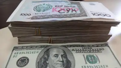 Zakon.kz, фото - Новости Zakon.kz от 04.09.2017 14:46