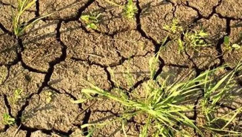 Жара до +40 ожидается в Казахстане на выходных