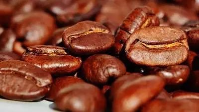 Вредит ли почкам ежедневное употребление кофе?, фото - Новости Zakon.kz от 03.12.2022 16:58