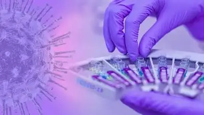 pixabay.com, фото - Новости Zakon.kz от 09.03.2021 08:00