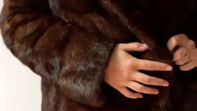 Zakon.kz, фото - Новости Zakon.kz от 15.03.2017 15:15