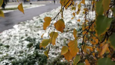 Zakon.kz, фото - Новости Zakon.kz от 25.10.2014 14:50