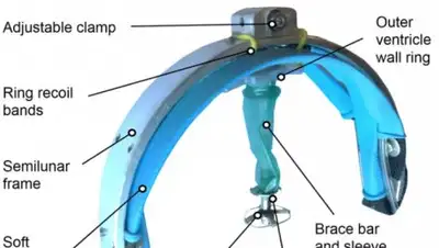 Zakon.kz, фото - Новости Zakon.kz от 23.11.2017 08:36