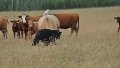 Алматинские друзья, фото - Новости Zakon.kz от 23.05.2018 22:14