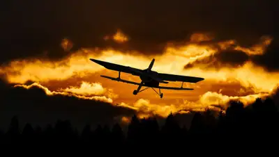 pixabay.com, фото - Новости Zakon.kz от 11.06.2019 21:25