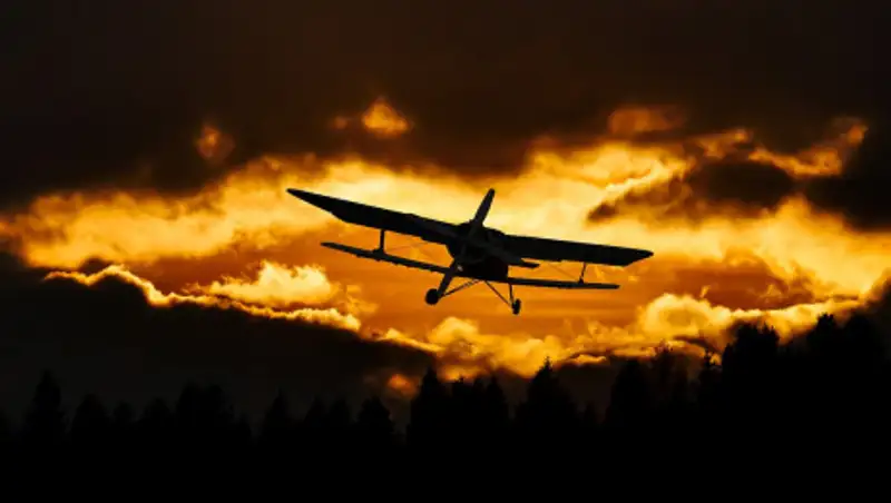 В КГА прокомментировали увольнение Тоты Амировой