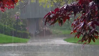 armavir.today, фото - Новости Zakon.kz от 13.06.2019 16:36