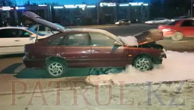 patrul.kz, фото - Новости Zakon.kz от 08.03.2018 22:30